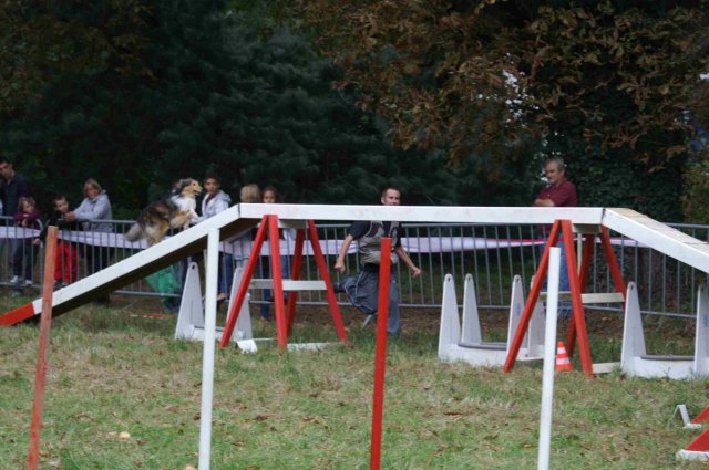 foire-haricots 2011-09-17et18